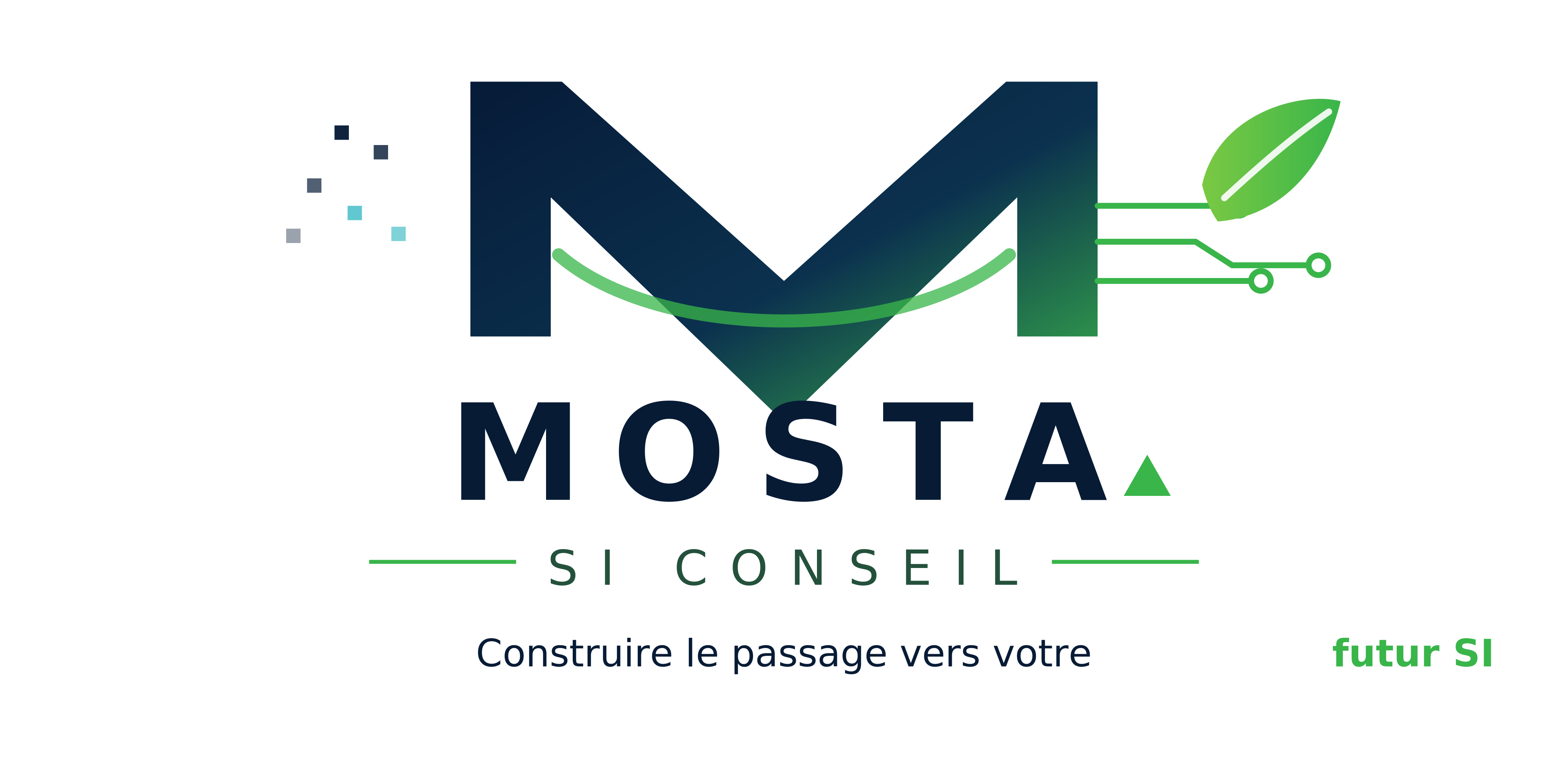 MOSTA SI Conseil - Construire le passage vers votre futur SI